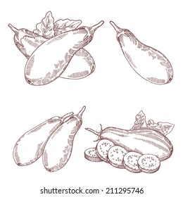 Set eggplant, gravure and hand-drawn style