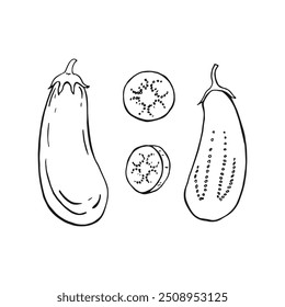 Set of eggplant. Hand drawn vector illustration in outline style.