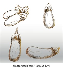 conjunto de ilustraciones de berenjenas y arte vectorial, línea aislada o logotipo símbolo de señas aislado vector, contorno y estilo de trazo Colección de ilustraciones vectoriales de alta calidad,