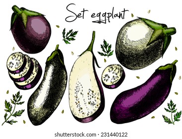 Set of eggplant. Illustrations. Vector. Hand drawing.