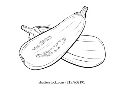 A set eggplant vector illustration isolated on white background