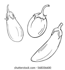 Set of eggplants on white background. Hand drawn vector illustration.