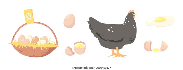 Set of Eggs in Basket, Broken Shell, Chicken. Agriculture Farmer Production, Organic Farm Food Design Elements, Icons for Market Place, Store or Shop. Poultry Production. Cartoon Vector Illustration