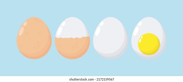 Set Of Eggs boiled eggs, half peeled, peeled, sliced, Funny cartoon Cute chicken egg , healthy food concept, icon comic character isolated on white background vector illustration flat style