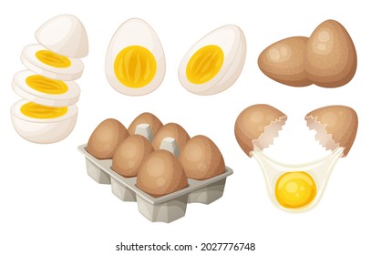 Juego de huevos en diferentes etapas de cocina ilustración de dibujos animados. Colección de huevos de aves de corral en envases de cartón, hervidos, crudos, mitades, troceados, iconos vectoriales aislados en fondo blanco