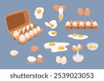 A set of eggs in different forms. Boiled, raw, broken eggs, eggs in original packaging, scrambled eggs, separating the yolk from the white. Hand drawn vector illustration.