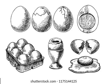 Set of eggs drawings. Hand drawn. Vector illustration.  Rural natural bird farming. Poultry business.