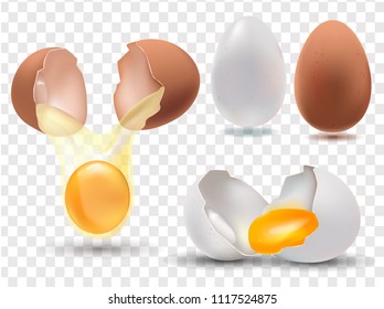 set of eggs on a transparent background whole and broken, realistic 3D illustration, yolk vector