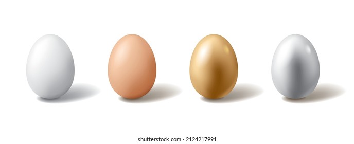 Set of eggs on white background.