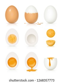 Set of eggs with yolk and shell. Product for cooking breakfast. Boiled egg. Organic food. View realistic natural foodstuff. Isolated On white background. EPS10 vector illustration.