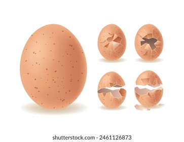 Set Of Eggshells Progressing From Whole To Fully Broken In Stages With Increasing Fragmentation. Realistic Vector Design