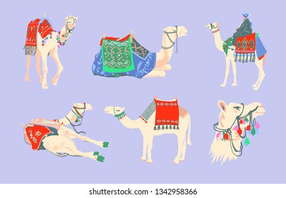 set of egyptian camel decorated with bright carpets and ornaments in minimalistic hand drawing style, vector illustration collection