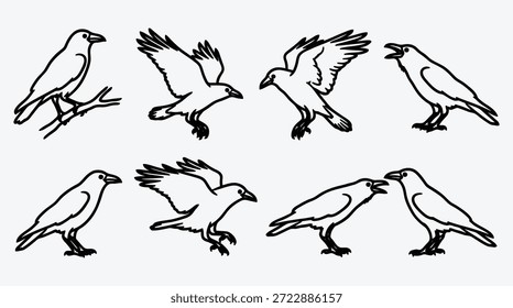 Conjunto de ocho ilustraciones en blanco y negro de cuervos en varias poses y movimientos sobre pájaros de fondo gris claro
