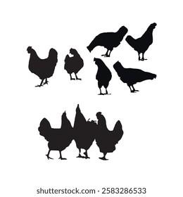 Set of eight breeds of domestic chicken Flat vector illustration Poultry farming	