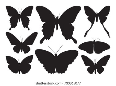 Set of eight butterfly icon isolated on white background with clipping path, outline wings insects vector brushes. Black animal tattoo.