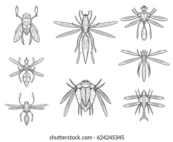 Set of eight cartoon vector hand drawn alien sci-fi insect designs in top down view