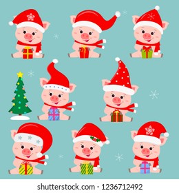 Set of eight cute pigs in different hats and a santa claus scarf. They sit and hold a box with a gift. Christmas tree. Happy New Year and Merry Christmas. The symbol of the Chinese New Year. Vector.