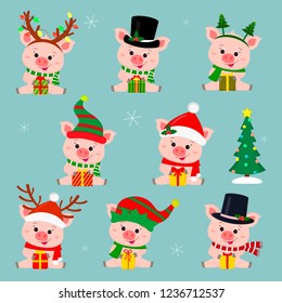 Set of eight cute pigs in different hats and a scarf. They sit and hold a box with a gift. Christmas tree. Happy New Year and Merry Christmas. The symbol of the Chinese New Year. Vector.