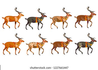 A set of eight deer of different colors. vector on white background