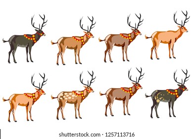 A set of eight deer of different colors. vector on white background