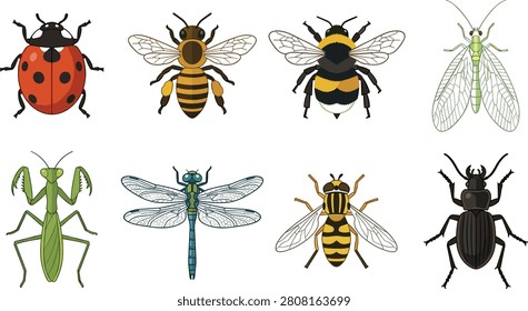 A set of eight detailed vector illustrations of insects including ladybug, honeybee, bumblebee, lacewing, praying mantis, dragonfly, hoverfly, and beetle. Perfect for educational materials, nature projects, entomology themes, and decorative design resources.