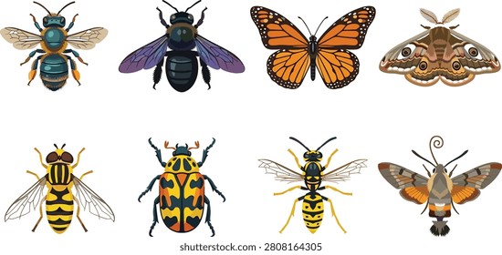 A set of eight detailed vector illustrations of insects including bees, butterfly, moth, hoverfly, beetle, wasp, and hummingbird moth. Perfect for educational materials, entomology projects, nature themes, and decorative design resources.