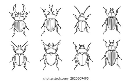 Set eight different beetle
