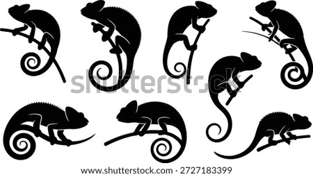A set of eight different black chameleon silhouettes, each grasping a branch, showcasing various unique poses.