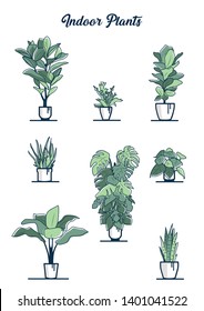 Conjunto de ocho hermosas plantas interiores diferentes en macetas blancas - árbol de caucho, helado de cuervo, higo de hoja de violín, aloe, monstera, fetos dorados, planta de plátano, planta de serpiente