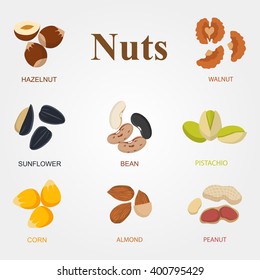 Set of eight different types nuts on a  white background