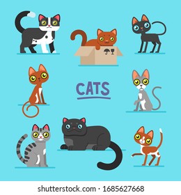 Set of eight funny cats
