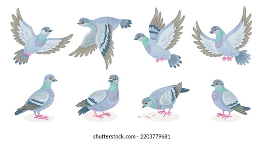 Set Eight Gray Doves Different Poses Stock Vector (Royalty Free ...