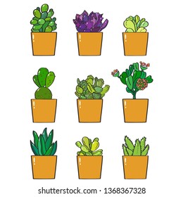 A set of eight green and one violet succulent plants in yellow pots vector illustration