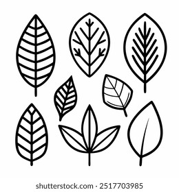 A set of eight hand-drawn leaf illustrations, perfect for adding a touch of nature to your designs. The simple, yet elegant, line art is ideal for creating patterns, backgrounds.