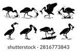 A set of eight ibis bird catching and eating fish silhouette vector icon illustrations on a white background