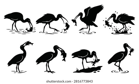 A set of eight ibis bird catching and eating fish silhouette vector icon illustrations on a white background