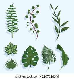 set of eight leaves plants