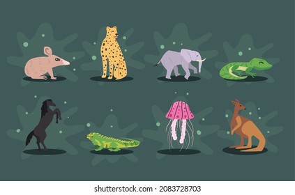 set of eight nice animals