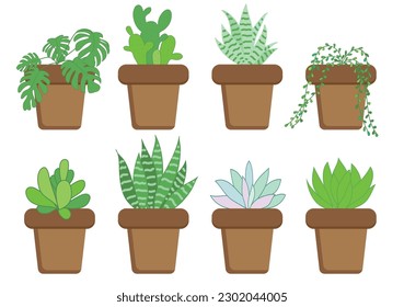 A set of eight pots with house plants, cacti, succulents, monstera