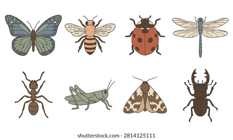 A set of eight various insects vector icon illustrations on a white background