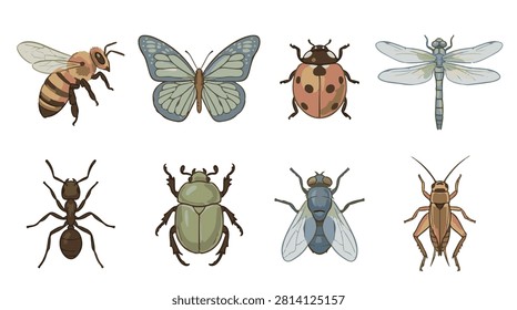 A set of eight various insects vector icon illustrations on a white background