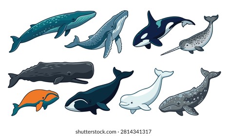 A set of eight various whales vector icon illustrations on a white background