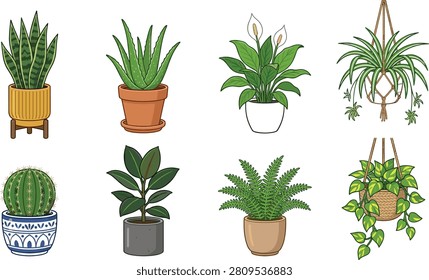A set of eight vector illustrations showcasing popular houseplants in decorative pots and baskets. Includes snake plant, aloe vera, peace lily, spider plant in macrame holder, cactus in patterned pot, rubber plant, fern and pothos in woven basket. Ideal for botanical graphics, home décor branding, gardening projects, lifestyle campaigns and creative plant‑related content.