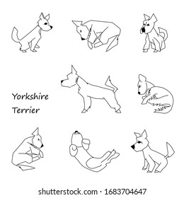 Set von acht Yorkshire Terrier-Posen