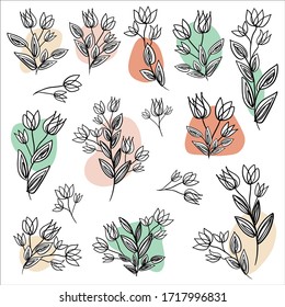 Set of elegant abstract decorative elements. Isolated vector: hand drawn herbs and flowers. Vintage creative design. Conceptual shapes and color spots. Summer and spring style. Branches with leaves