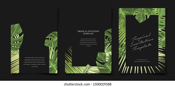 Set of elegant black and green tropical foliage monstera palm leaf cover layout template