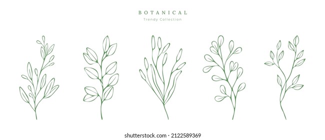Set of elegant botanical elements. Vector illustrations for beauty, fashion, natural and organic products, spa and wellness, wedding and events, environment. Botanical rustic trendy greenery.