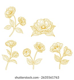 Set of Elegant Botanical Flower Line Art. Vintage Floral Vector Illustration in Monoline Style