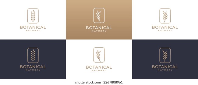 set of elegant botanical logo design emblem, symbol for beauty, health, and nature