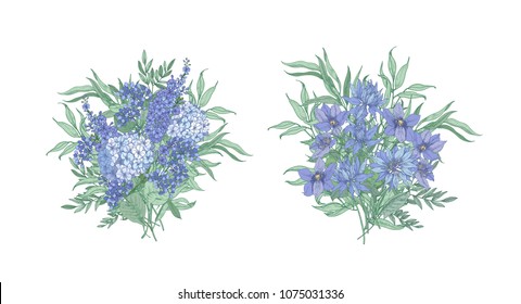 Conjunto de elegantes ramos de hermosas flores azules y salvajes florecientes y hierbas floridas aisladas en fondo blanco. Conjunto de decoraciones florales o elementos de diseño. Ilustración vectorial botánica
